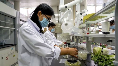 安丘市推進農產品檢驗檢測流程再造，開啟檢測信息共享新篇章